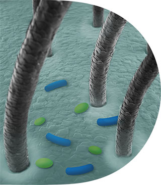 microbiom Dezechilibru
